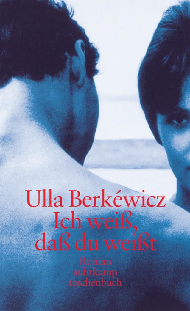 Ich weiß, daß du weißt: Roman (suhrkamp taschenbuch) Contemporary literature