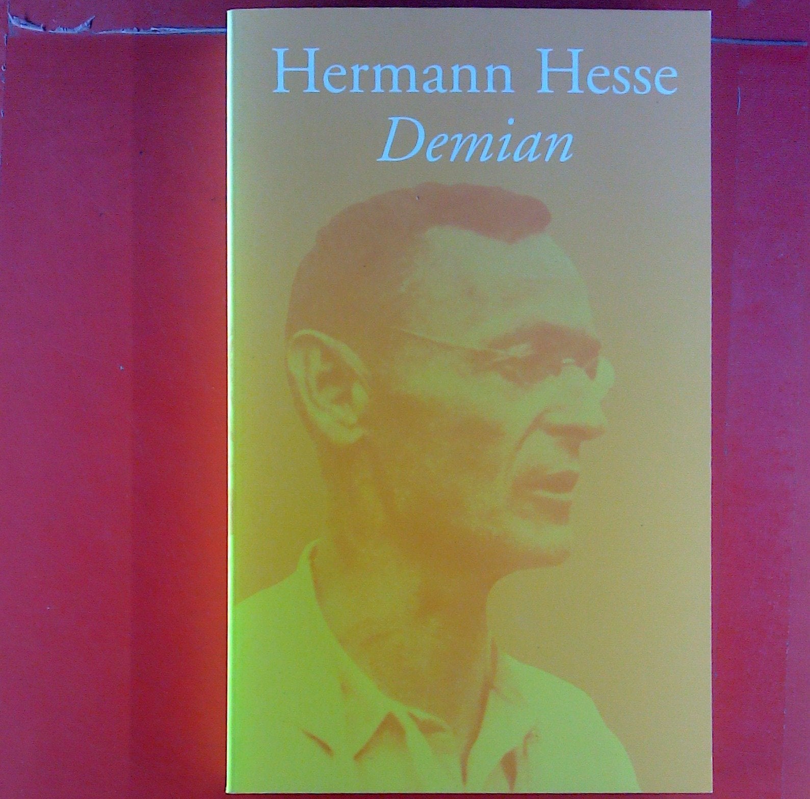 Demian (Suhrkamp Taschenbücher) Contemporary literature