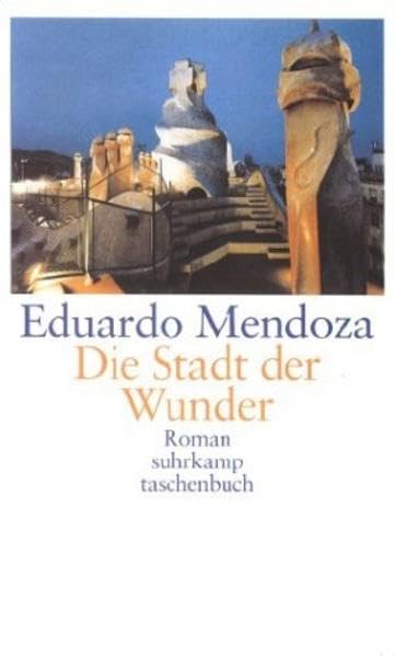 Die Stadt der Wunder: Roman (suhrkamp taschenbuch) Contemporary literature