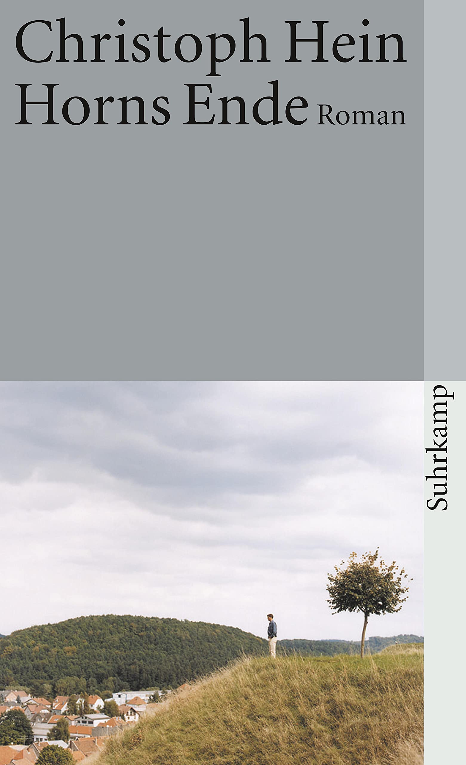 Horns Ende Contemporary literature Books
