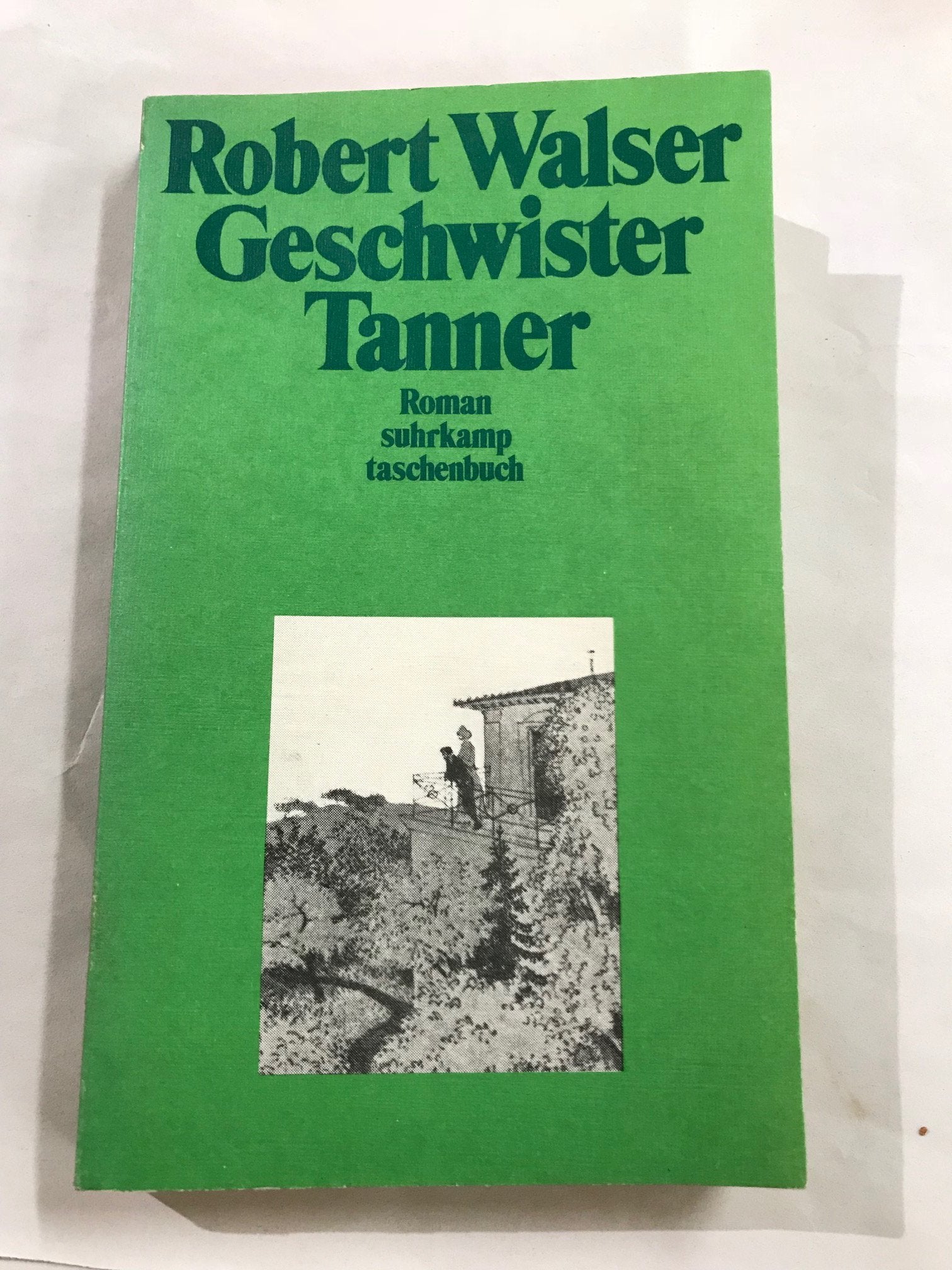 Geschwister Tanner: Roman (Weisses Programm Schweiz) Contemporary literature