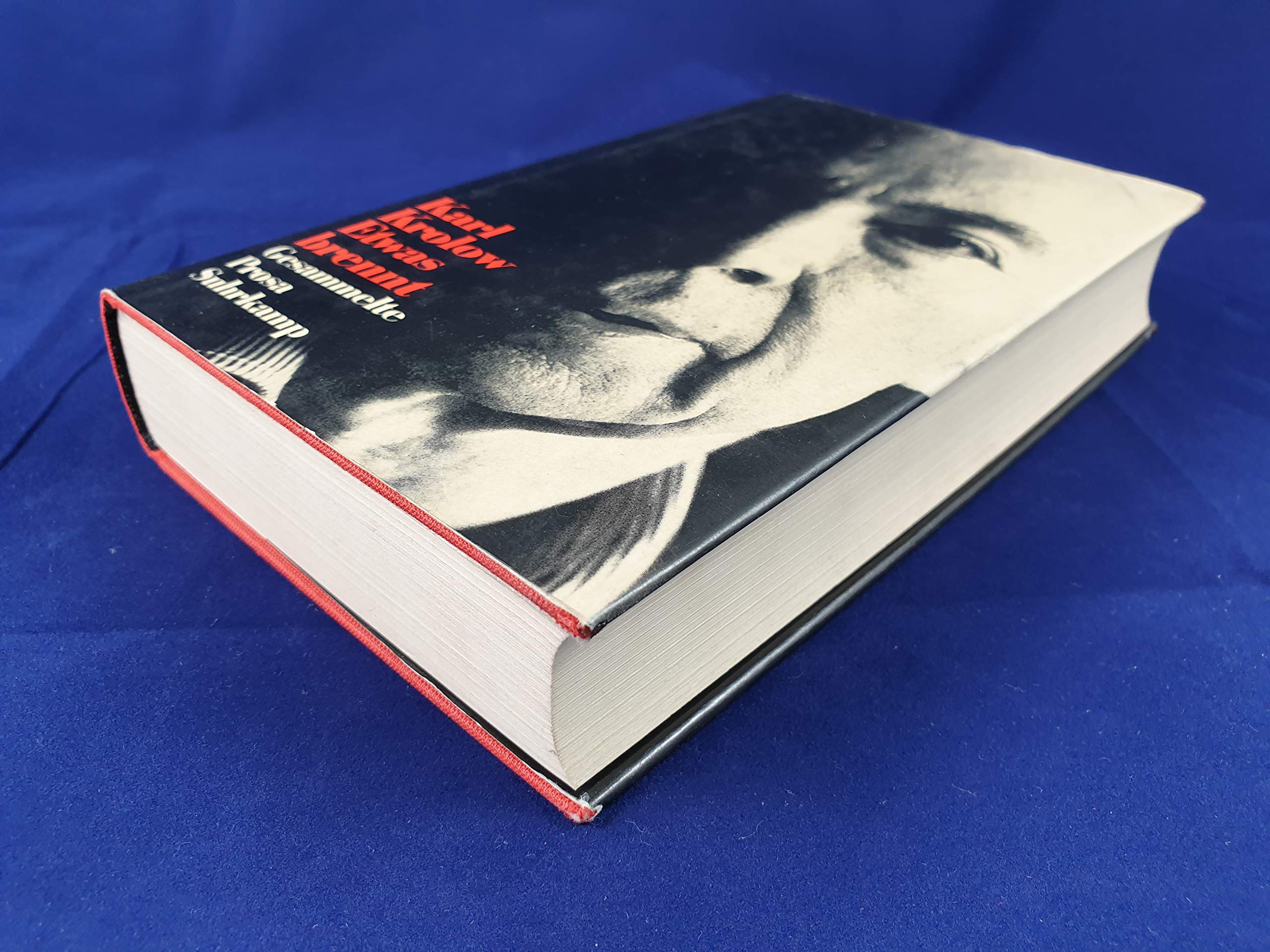 Etwas brennt: Gesammelte Prosa Contemporary literature