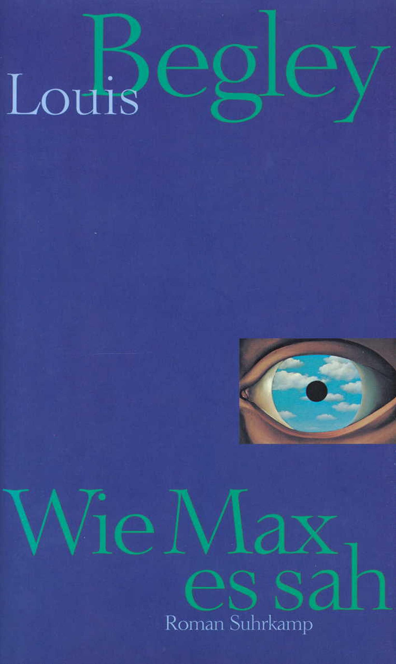 Wie Max es sah. Roman Contemporary literature