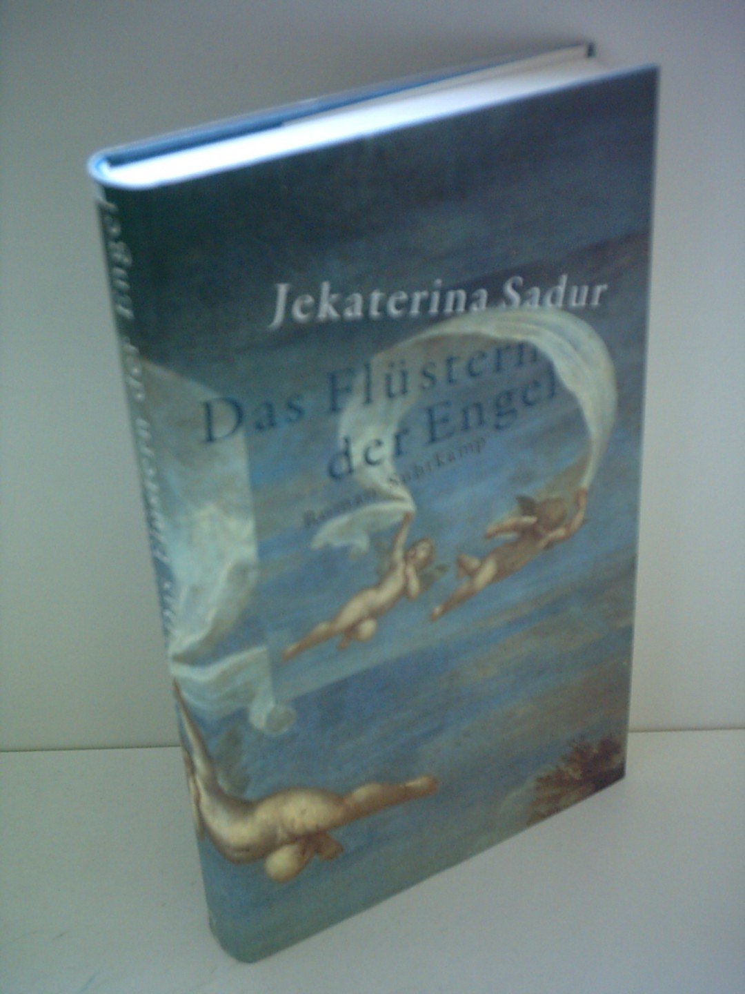 Das Flüstern der Engel: Roman Contemporary literature