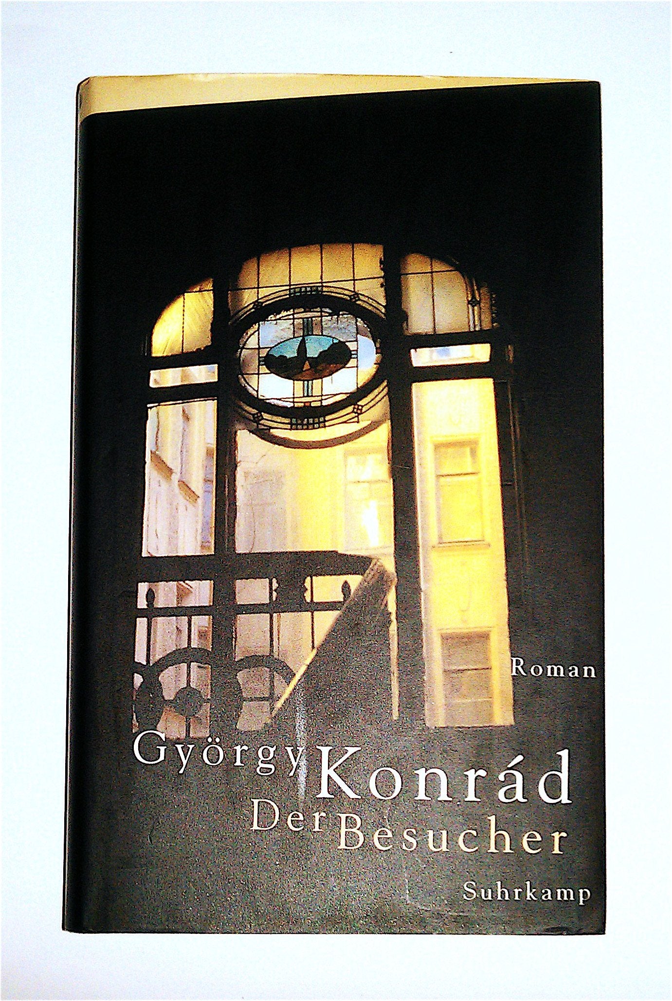 Der Besucher: Roman Contemporary literature