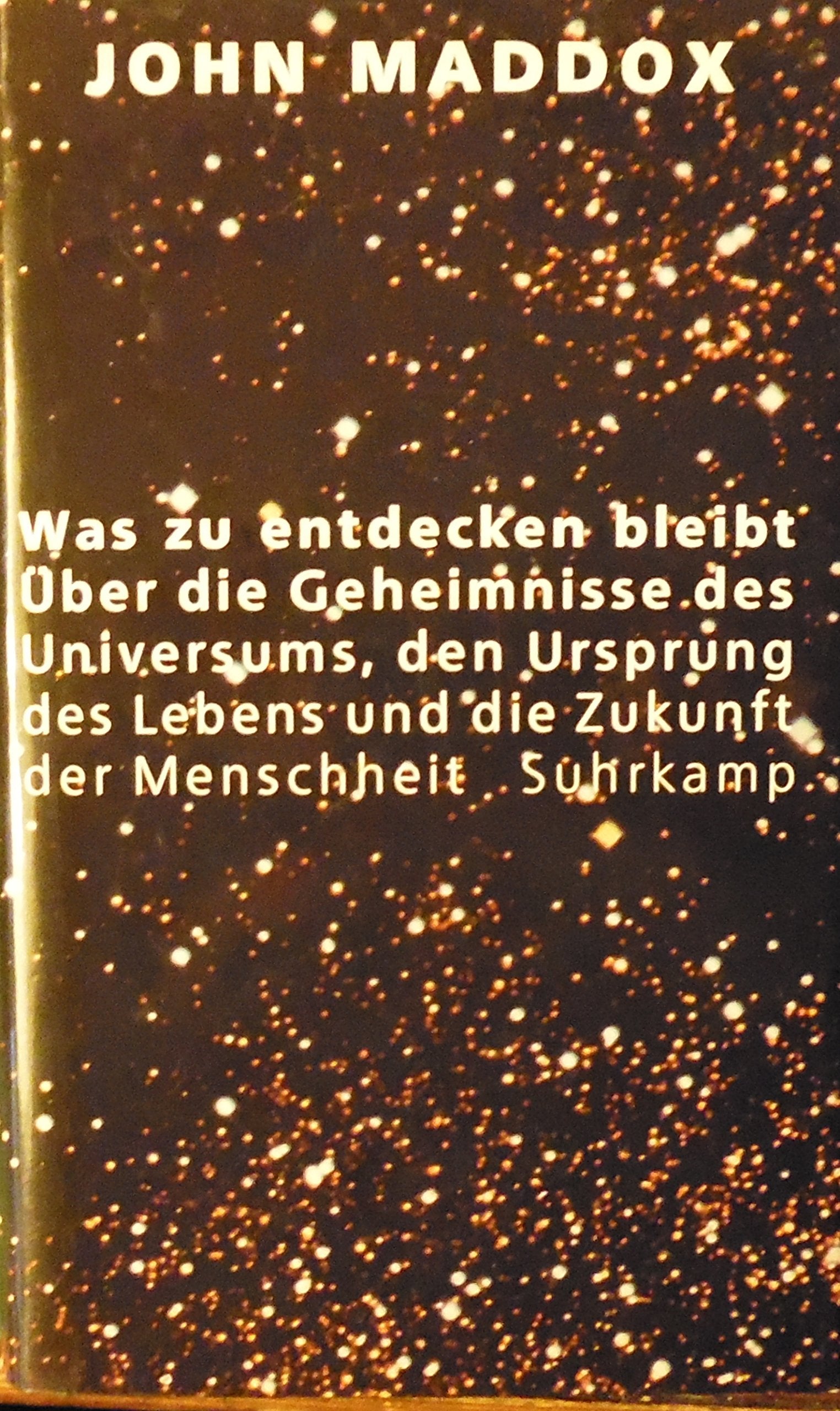 Was zu entdecken bleibt: Über die Geheimnisse dess Universums, den Ursprung des Lebens und die Zukunft der Menschheit. Übersetzt von Thorsten Schmidt Business & Technology