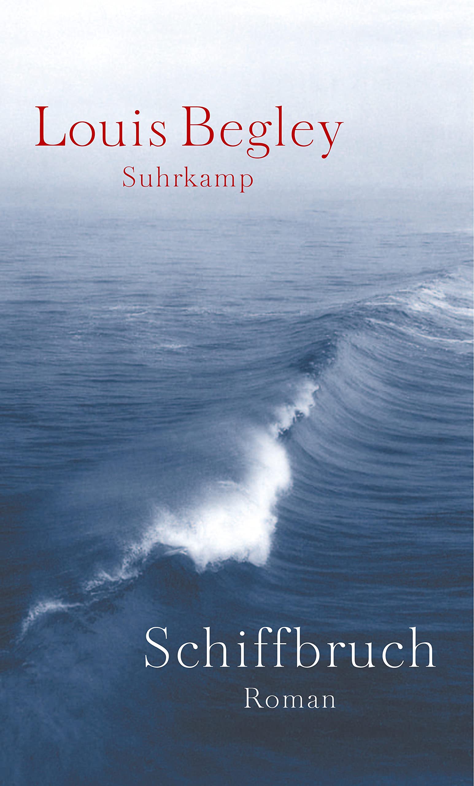 Schiffbruch Contemporary literature Books