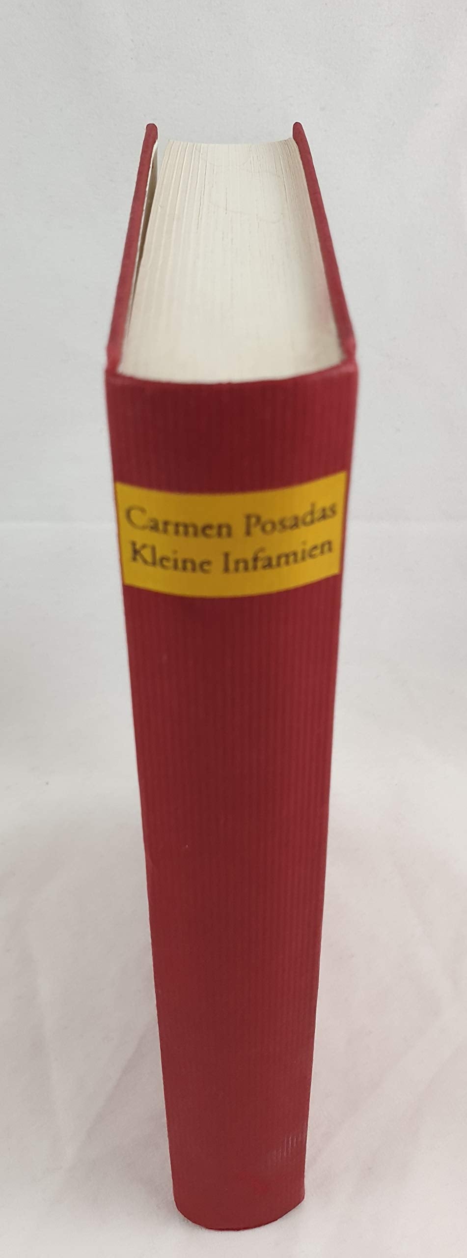 Kleine Infamien: Roman Contemporary literature