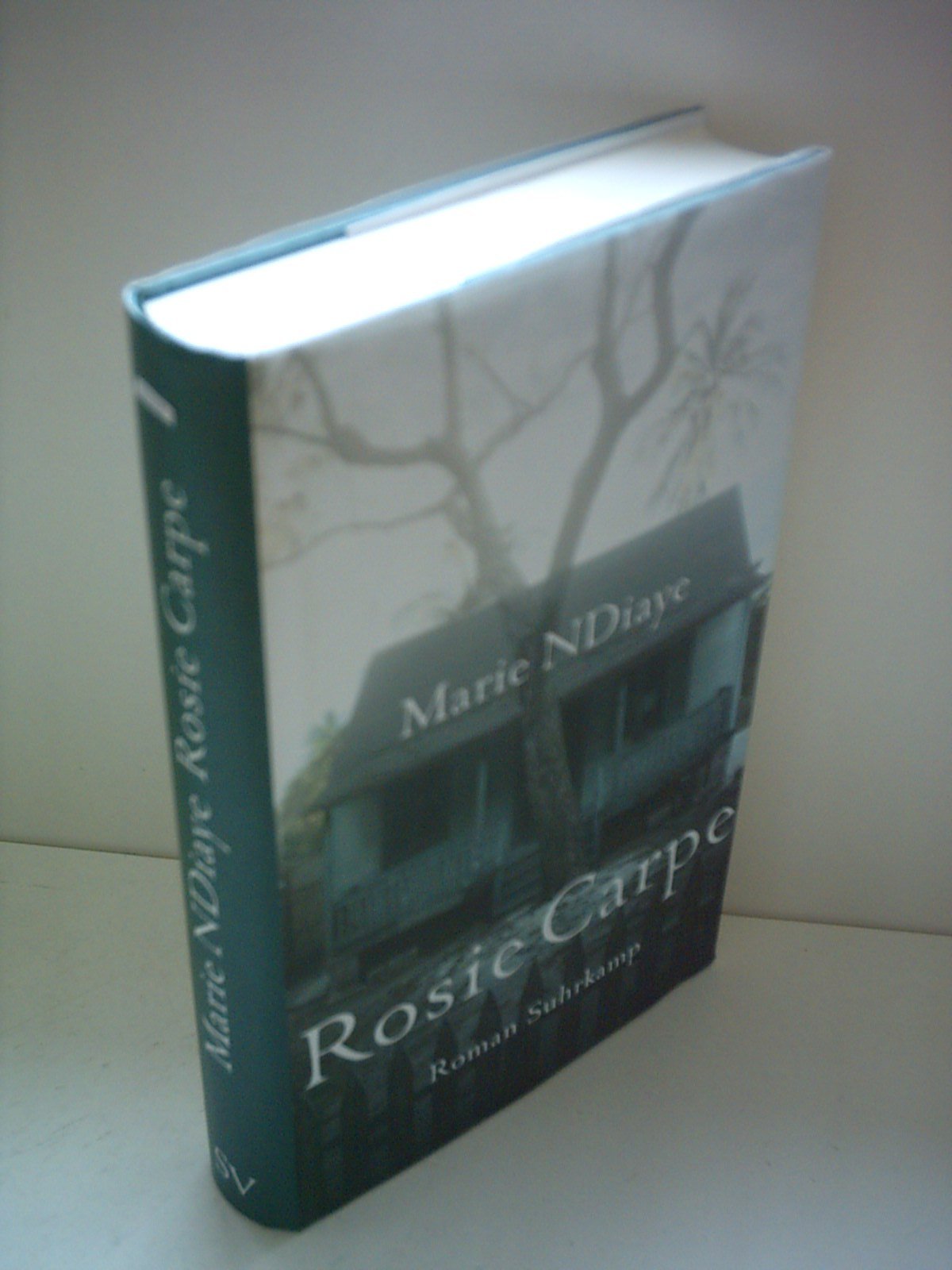 Rosie Carpe: Roman Contemporary literature