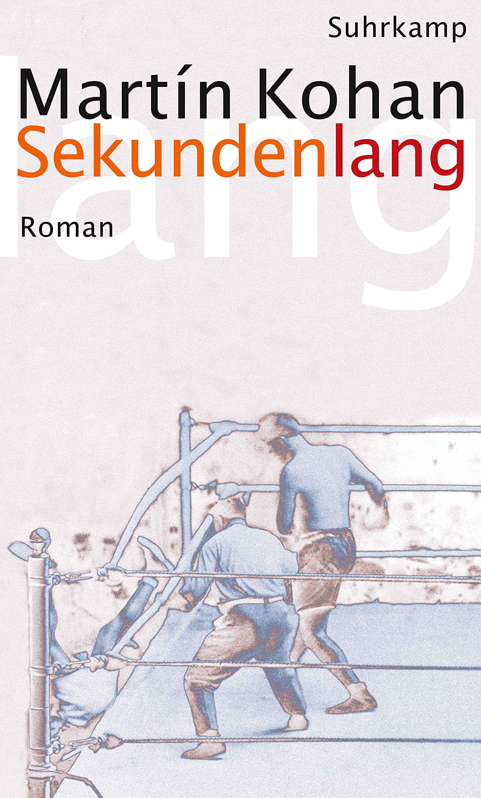 Sekundenlang: Roman Contemporary literature