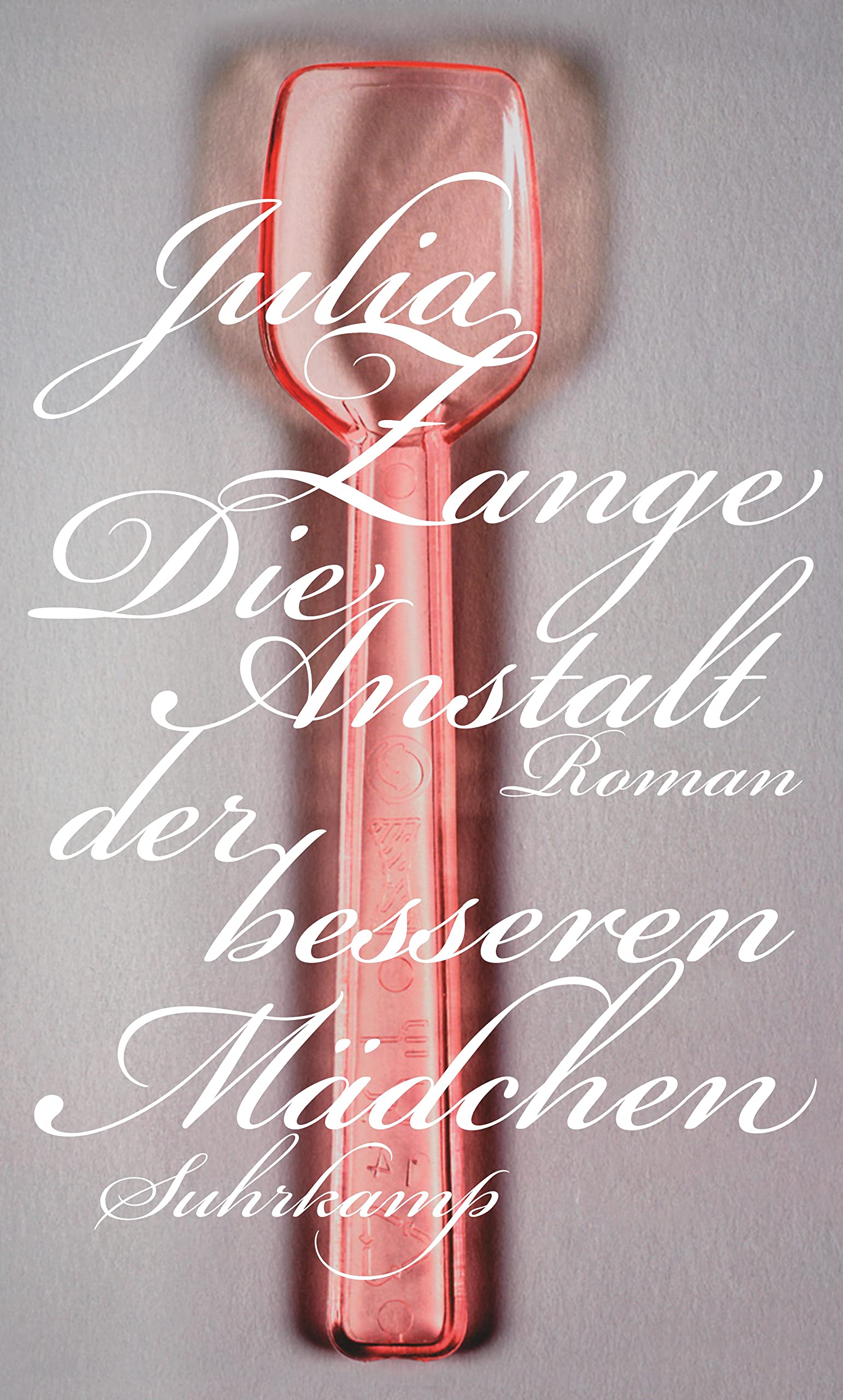 Die Anstalt der besseren Mädchen: Roman Contemporary literature