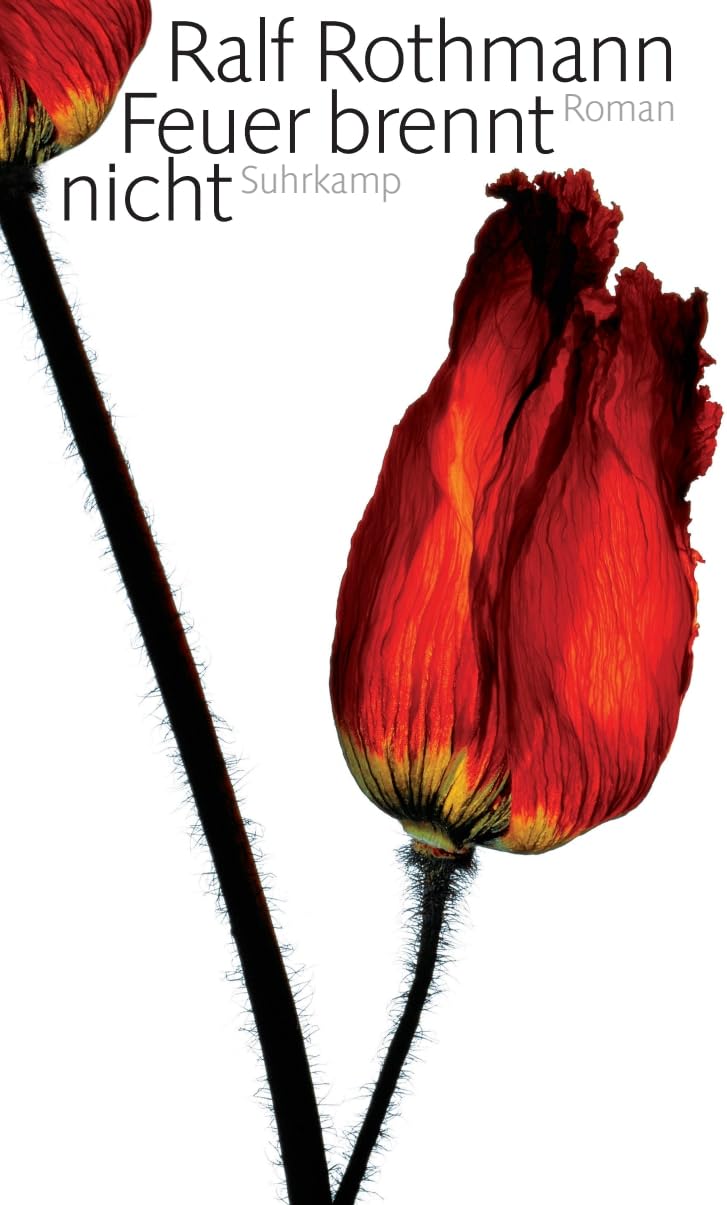Product Image: Feuer brennt nicht