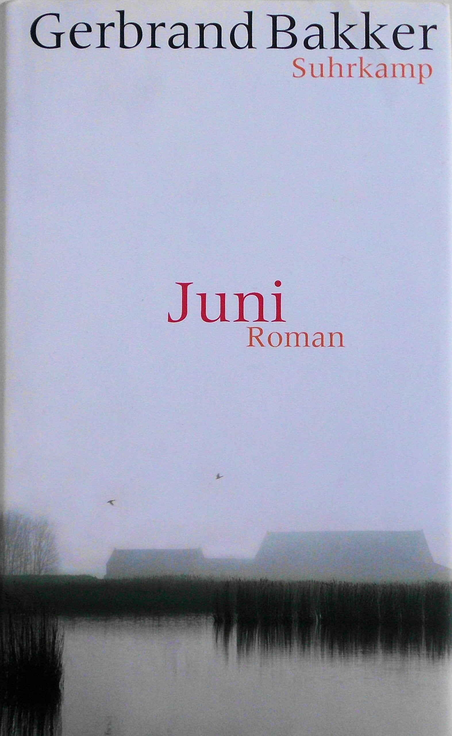 Product Image: Juni: Roman