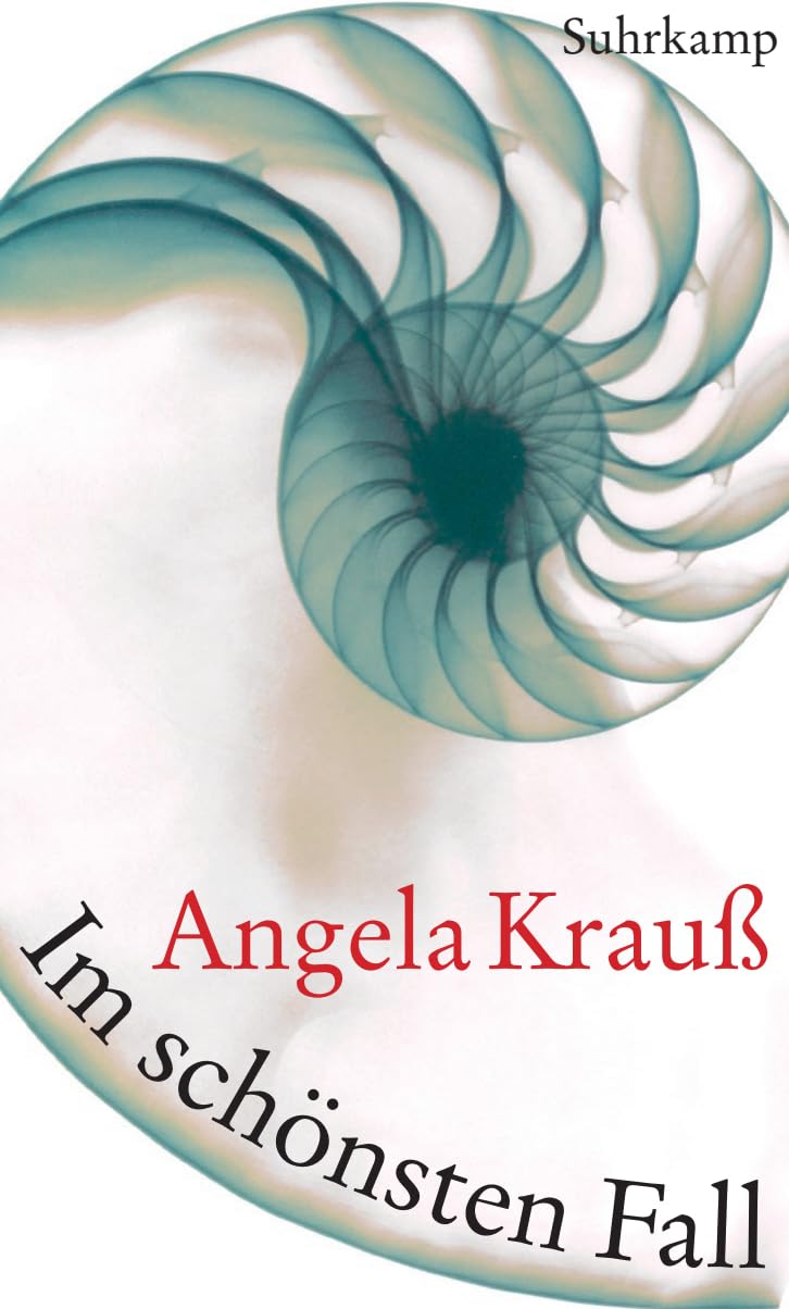 Im schönsten Fall Contemporary literature Books
