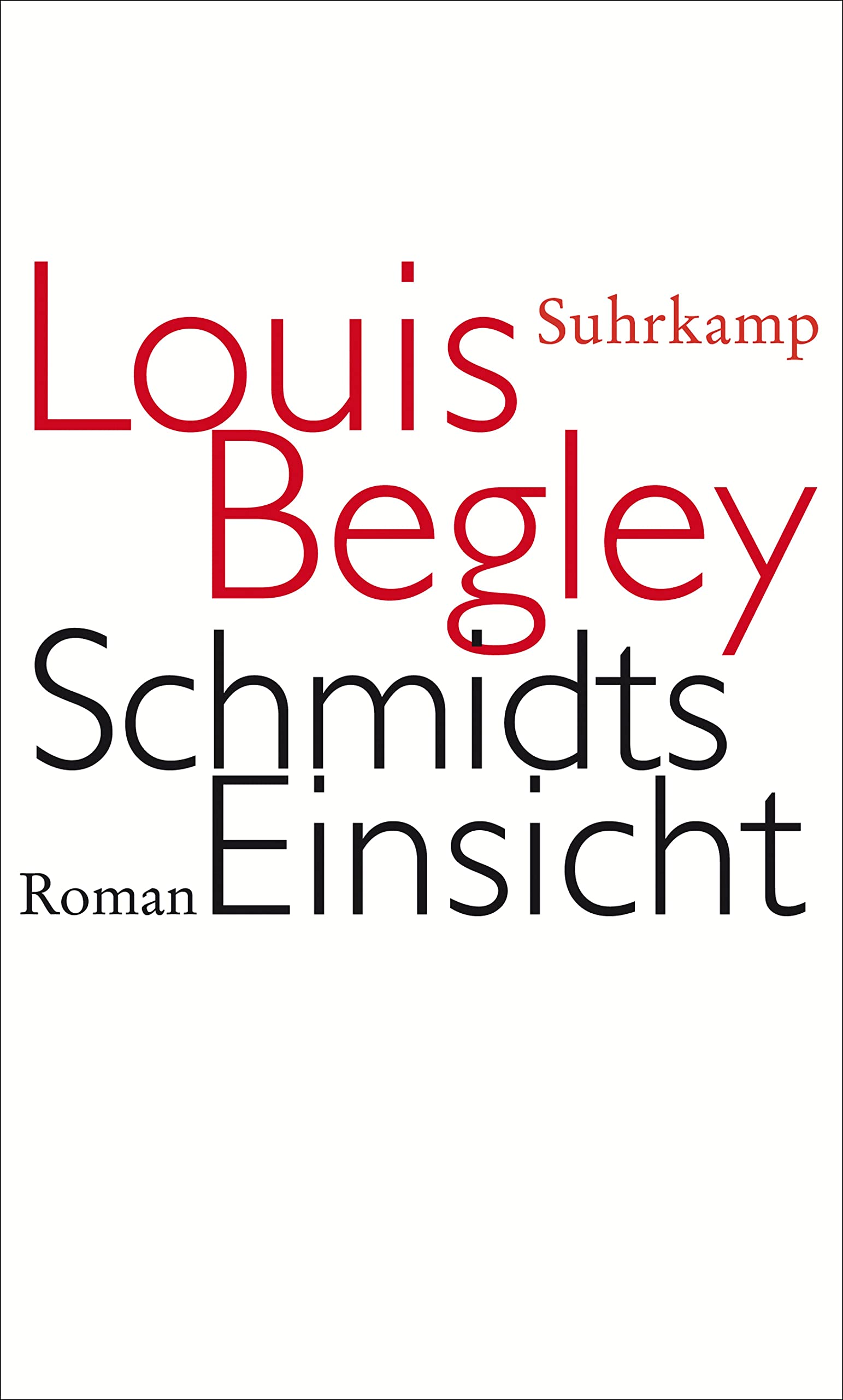 Schmidts Einsicht. Roman Contemporary literature Books