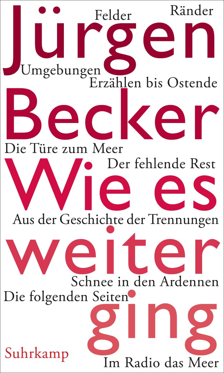Wie es weiterging Contemporary literature Books