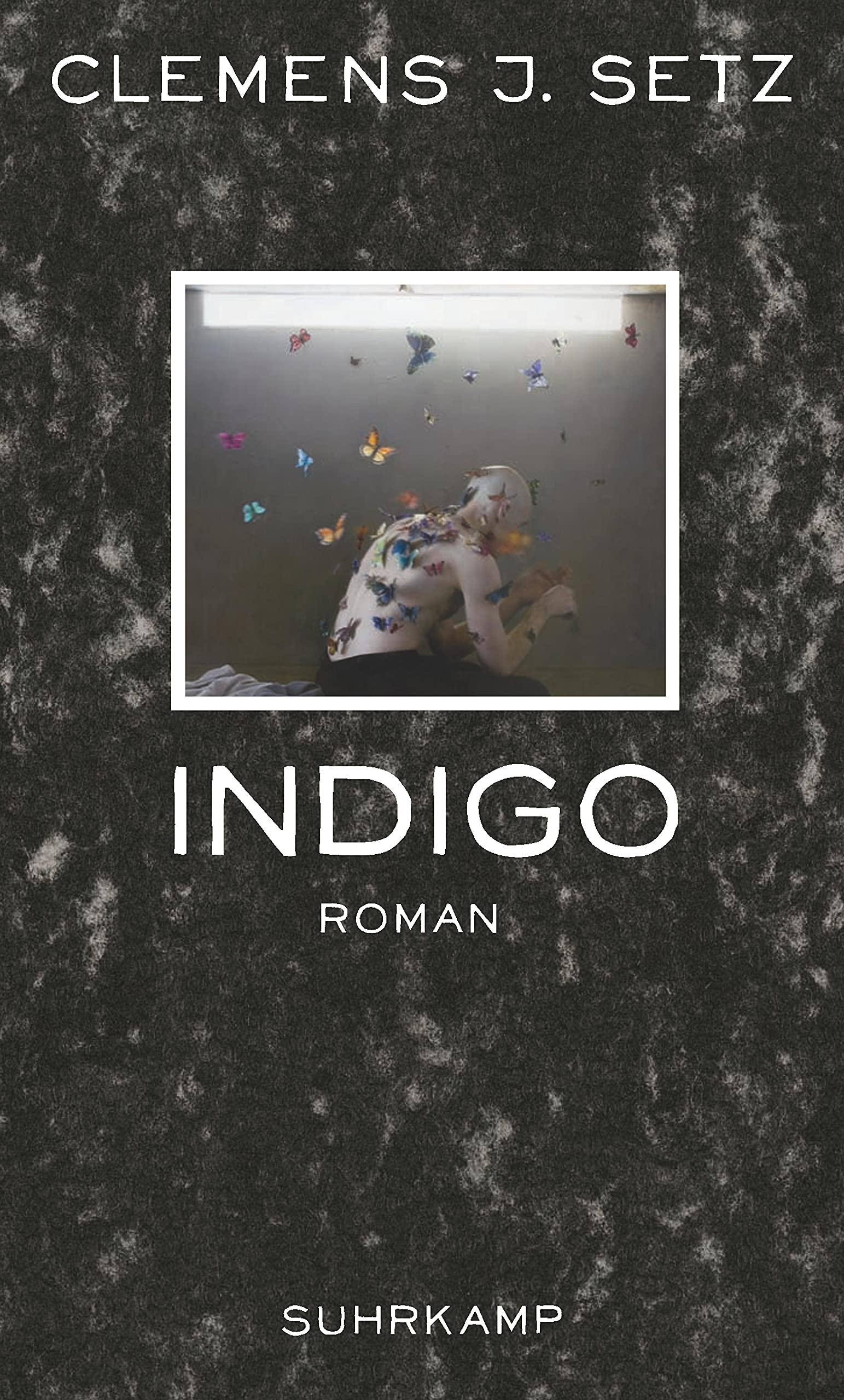 Indigo Contemporary literature Books