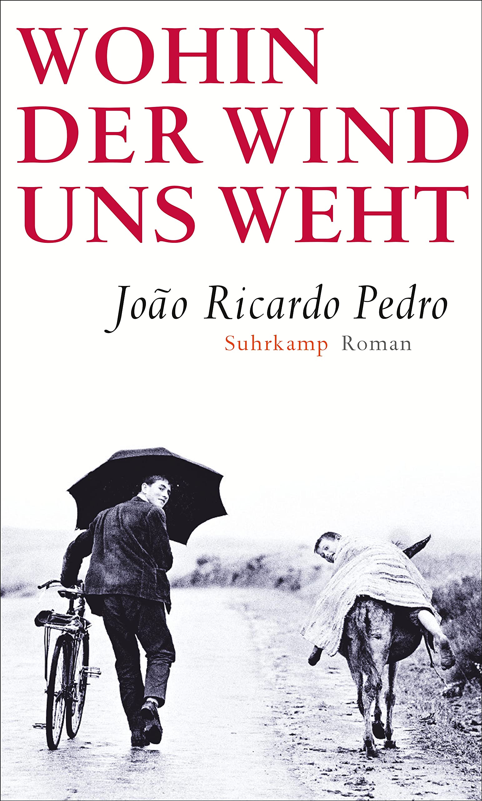 Wohin der Wind uns weht: Roman Contemporary literature
