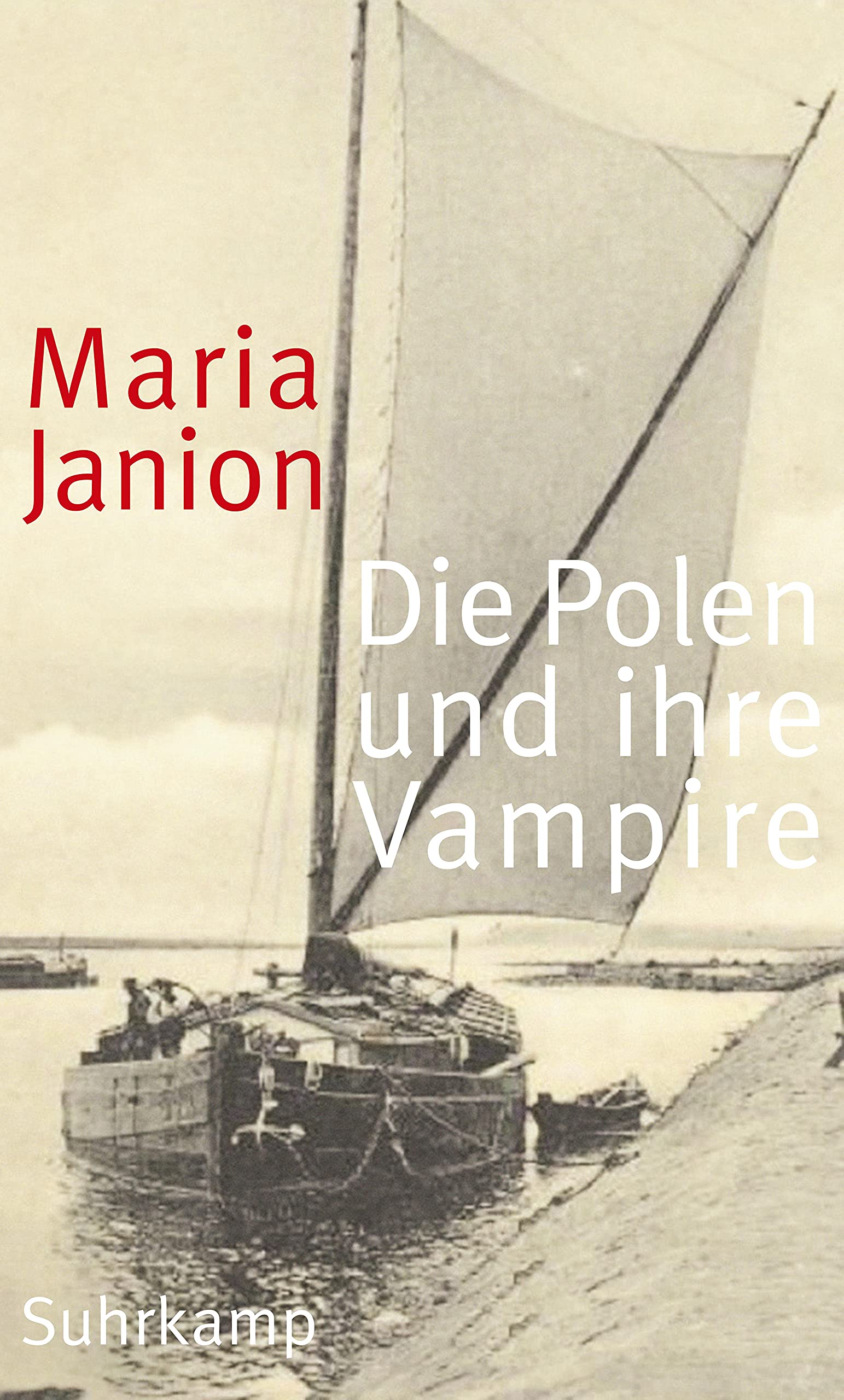 Die Polen und ihre Vampire: Studien zur Kritik der Phantasmen Books