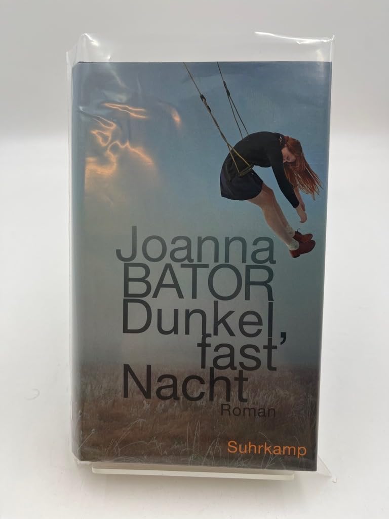 Dunkel, fast Nacht Contemporary literature Books