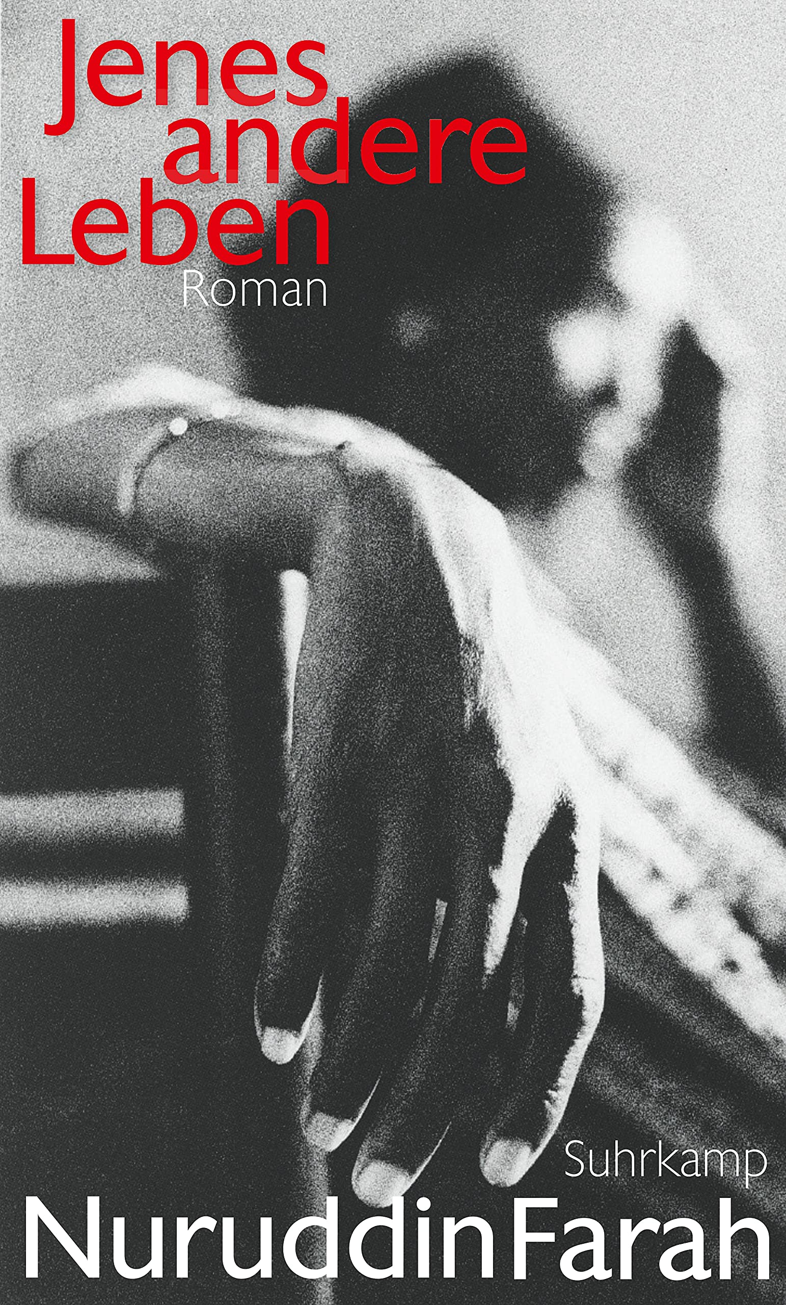 Jenes andere Leben: Roman Contemporary literature