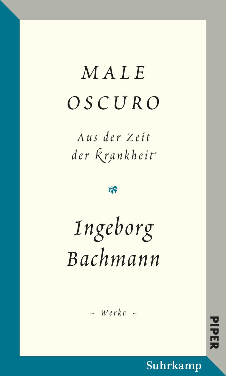 Salzburger Bachmann Edition Essays & Short Stories