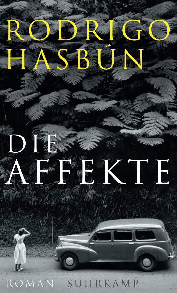 Die Affekte Contemporary literature Books