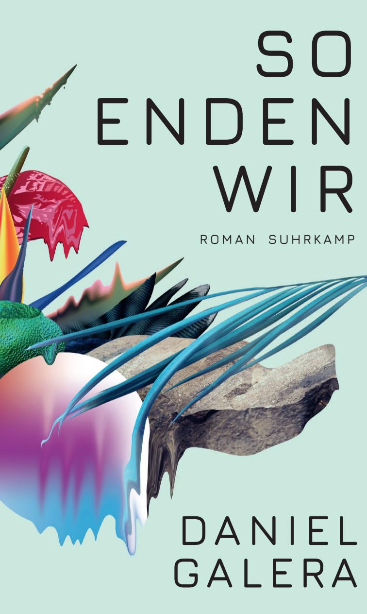 So enden wir: Roman Contemporary literature