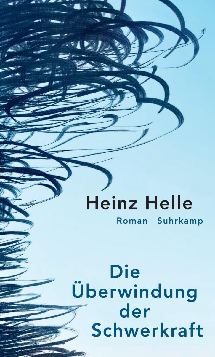 Die Überwindung der Schwerkraft: Roman Contemporary literature