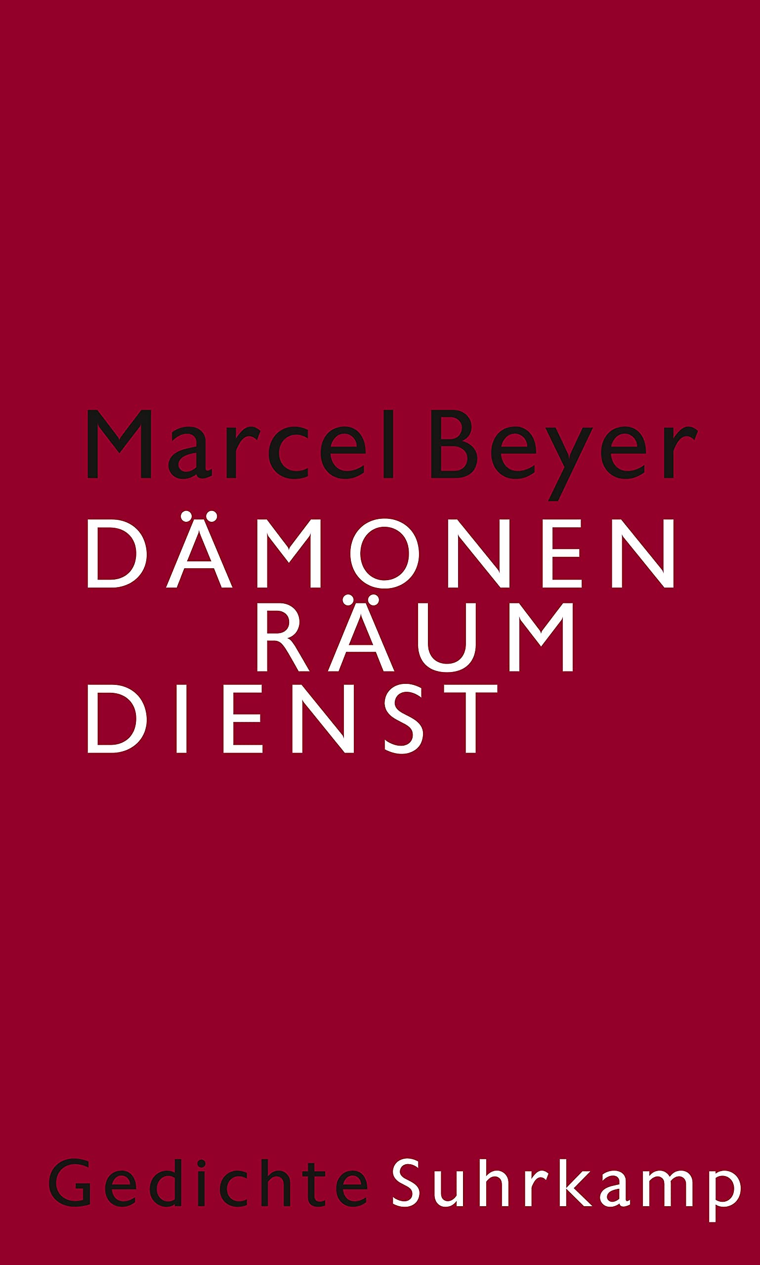 Dämonenräumdienst: Gedichte Poetry