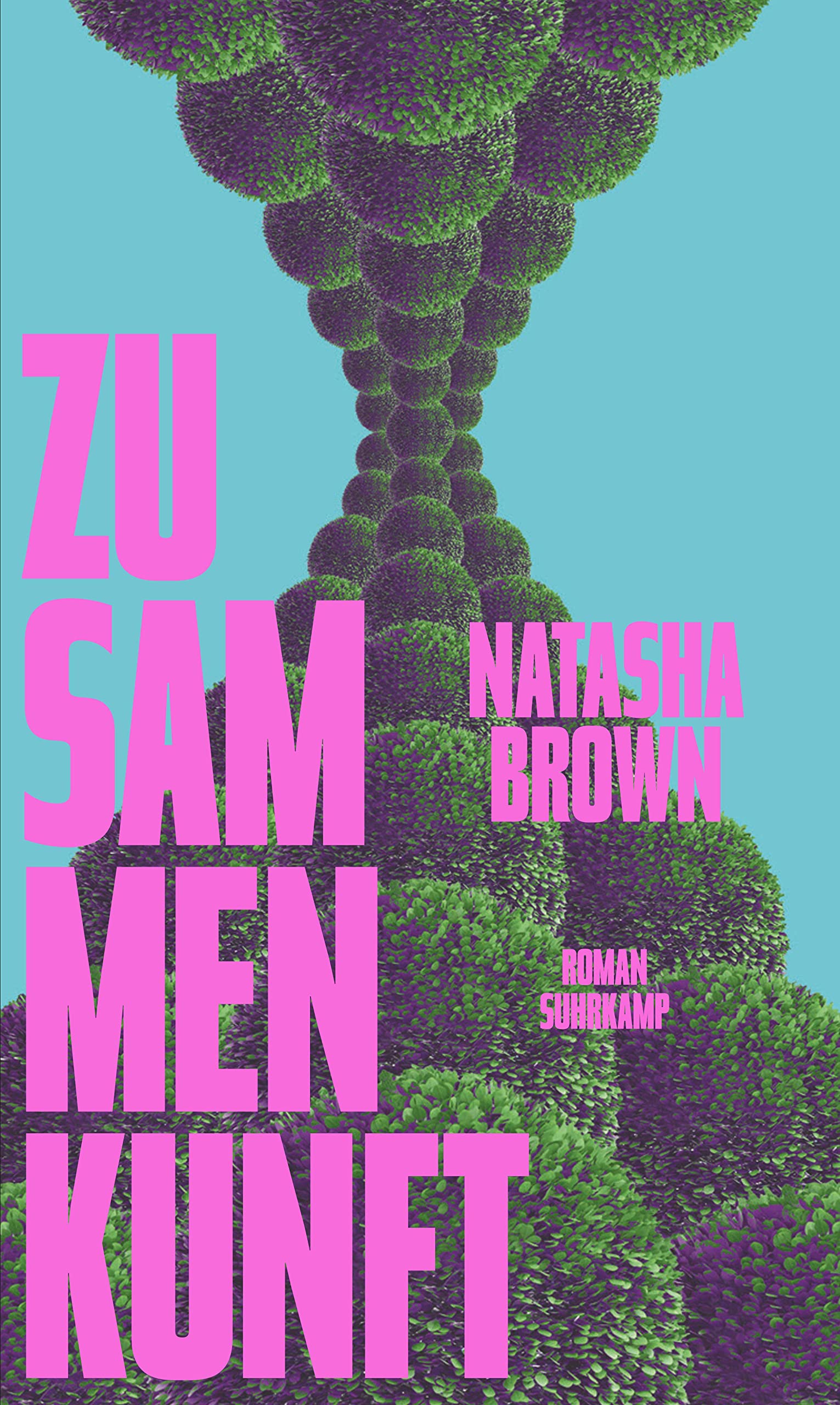 Zusammenkunft: Roman Contemporary literature