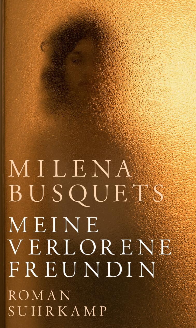 Meine verlorene Freundin: Roman Contemporary literature