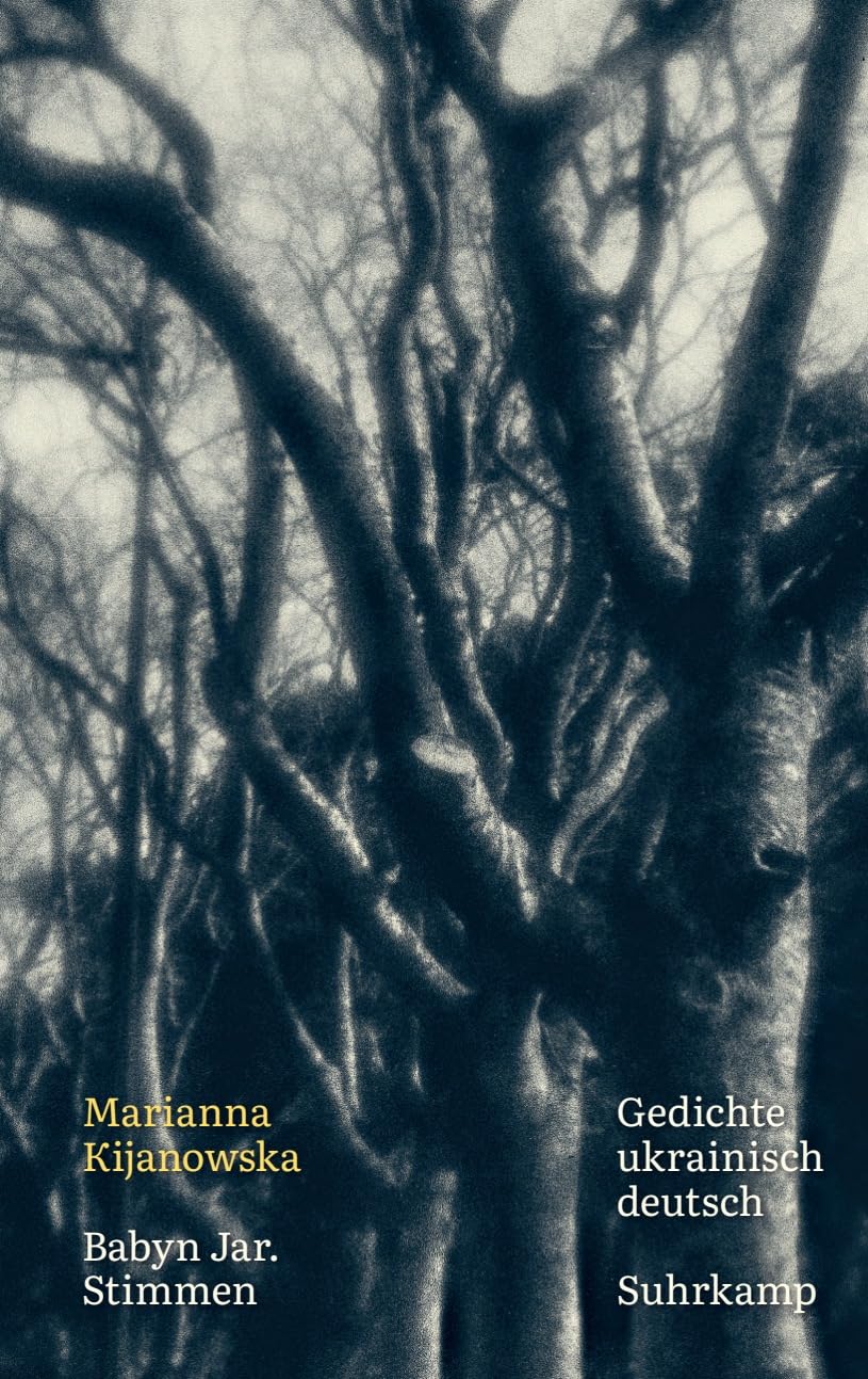 Babyn Jar. Stimmen: Gedichte. Ukrainisch und deutsch | Eines der wichtigsten Bücher der ukrainischen Gegenwartsliteratur Poetry