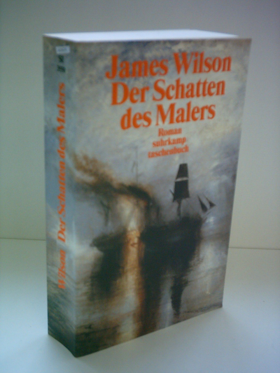 Der Schatten des Malers: Roman (suhrkamp taschenbuch) Contemporary literature