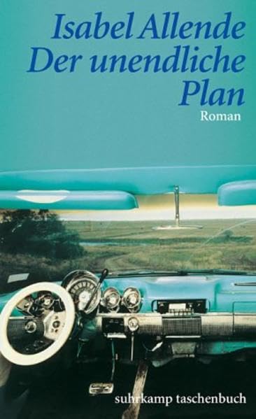 Der unendliche Plan: Roman (suhrkamp taschenbuch) Contemporary literature
