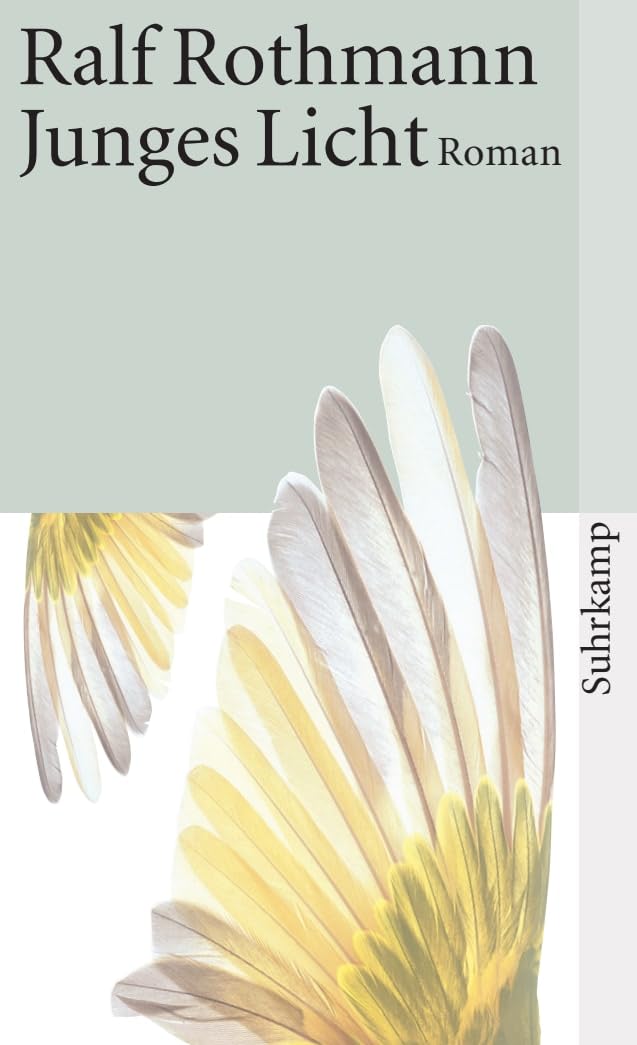 Junges Licht Contemporary literature Books