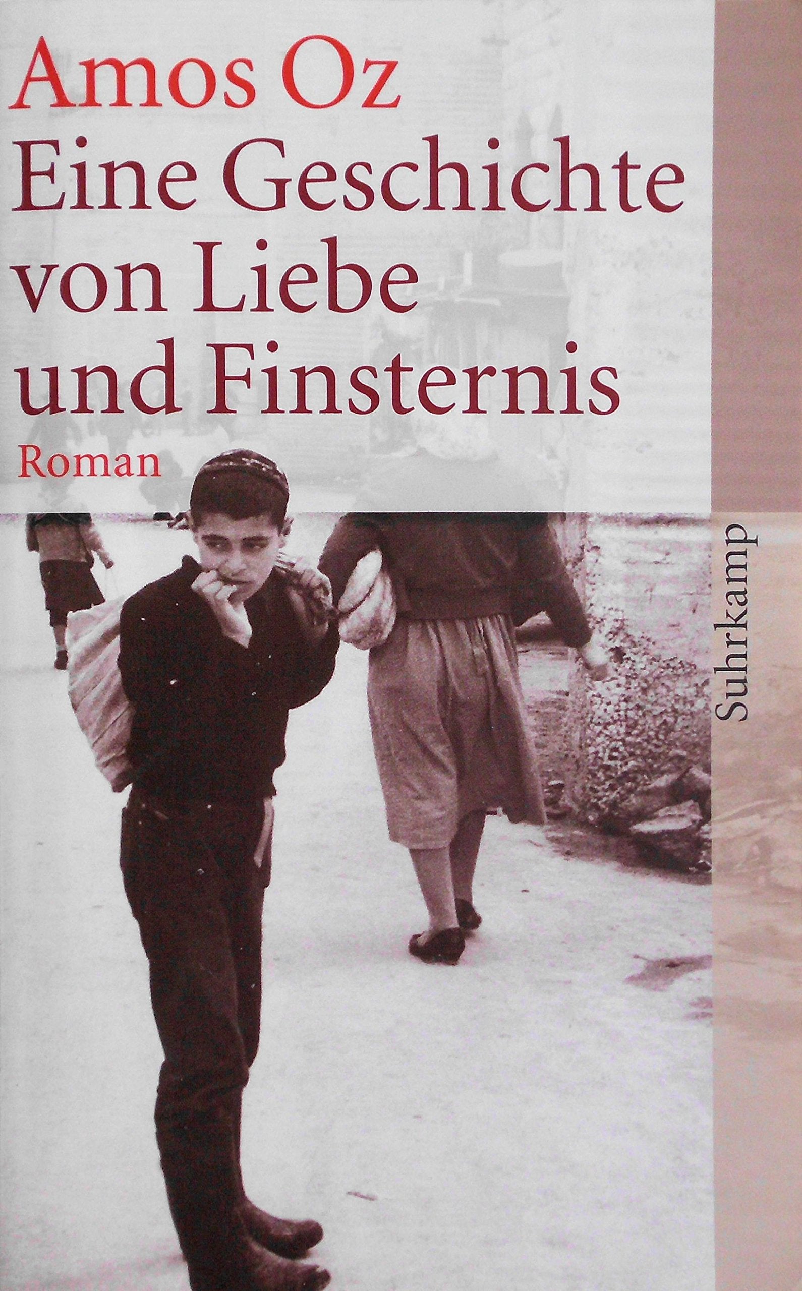 Eine Geschichte von Liebe und Finsternis Contemporary literature