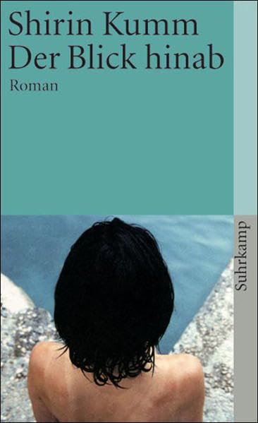 Der Blick hinab: Roman (suhrkamp taschenbuch) Contemporary literature