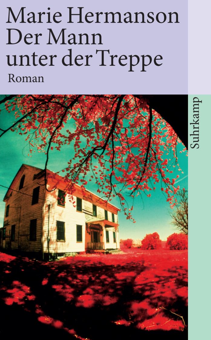 Product Image: Der Mann unter der Treppe