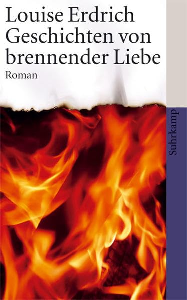 Geschichten von brennender Liebe: Roman (suhrkamp taschenbuch) Contemporary literature