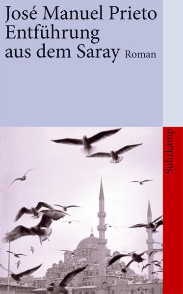 Entführung aus dem Saray: Roman (suhrkamp taschenbuch) Contemporary literature
