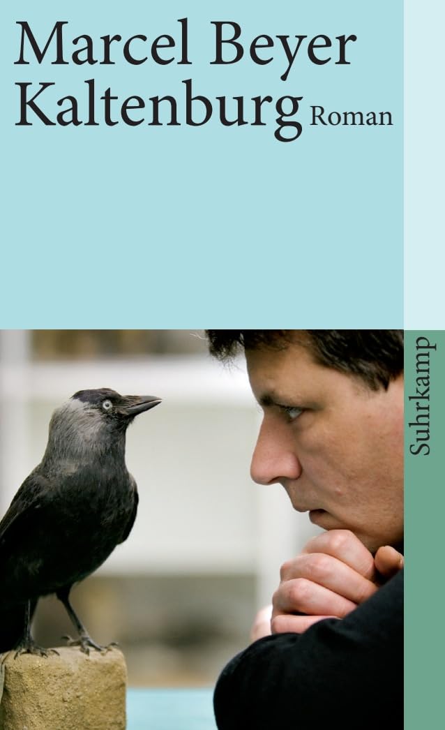Kaltenburg Contemporary literature Books