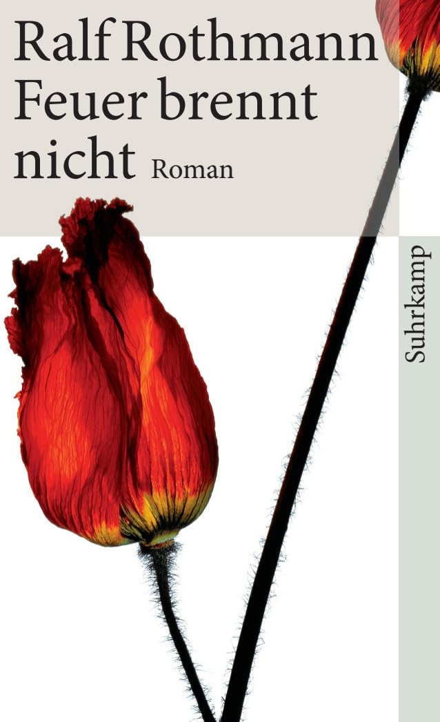 Feuer brennt nicht Contemporary literature Books