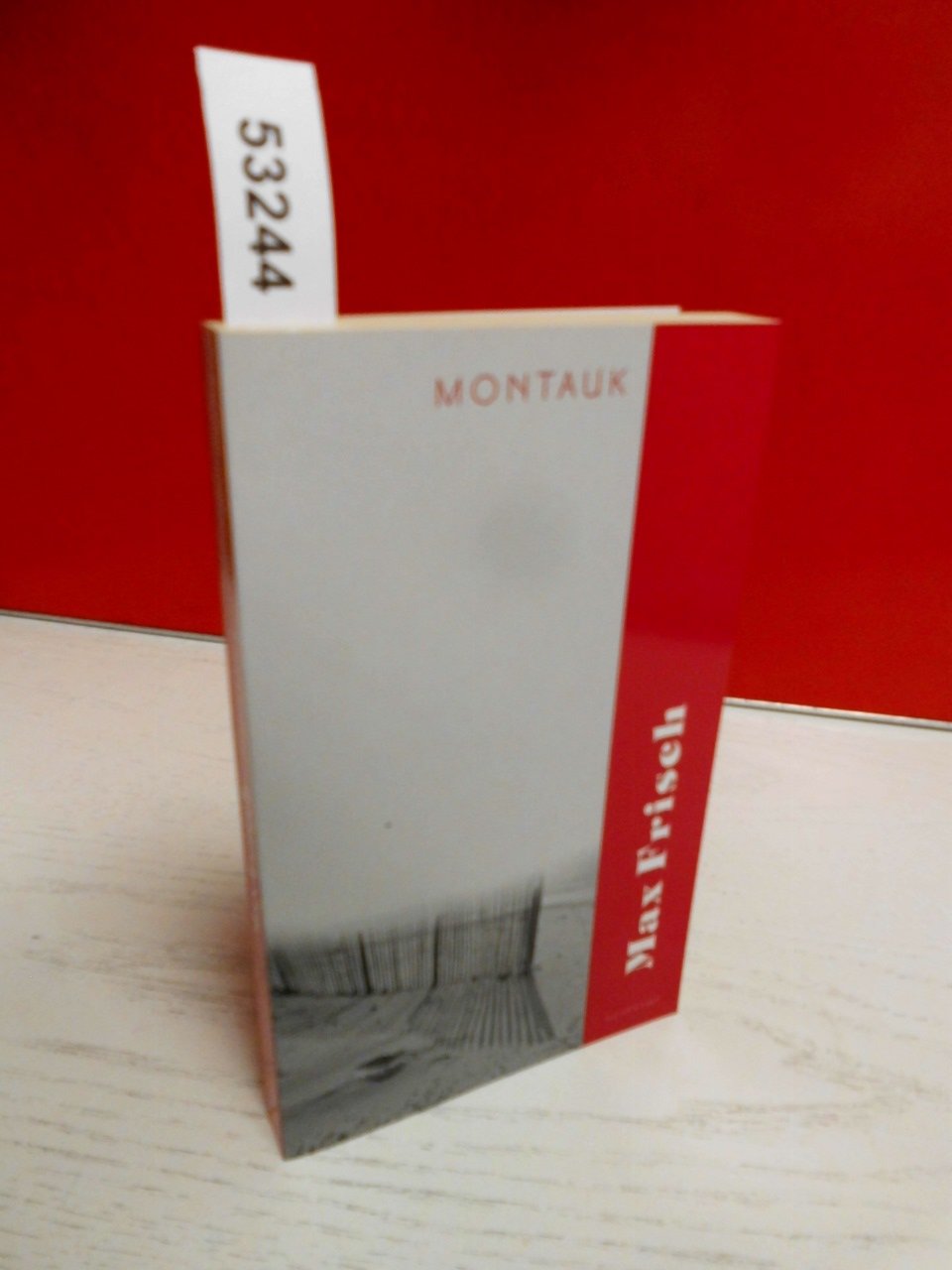 Montauk: Eine Erzählung (suhrkamp taschenbuch) Contemporary literature