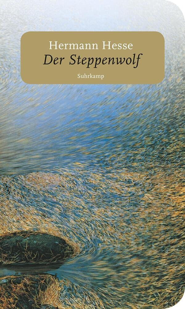 Der Steppenwolf Contemporary literature Books