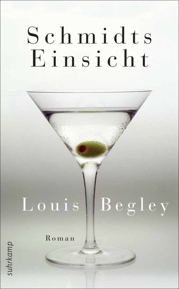 Schmidts Einsicht Contemporary literature