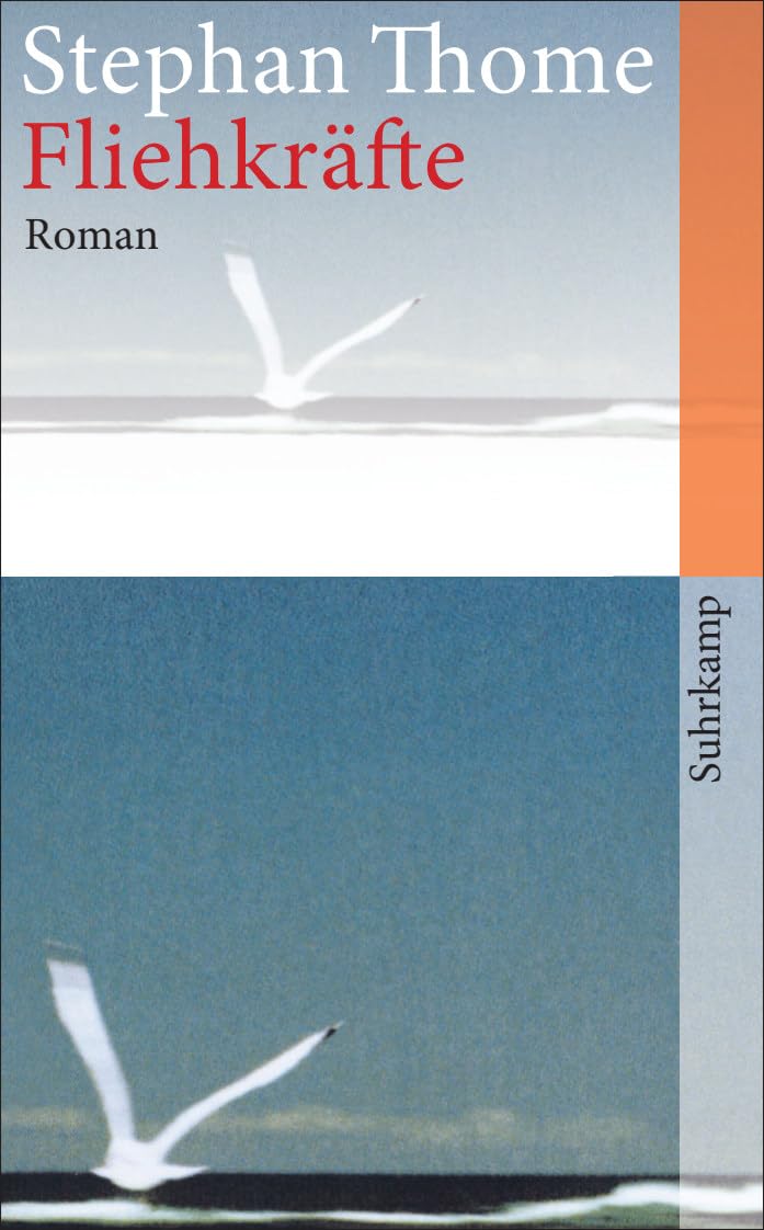 Fliehkräfte Contemporary literature Books