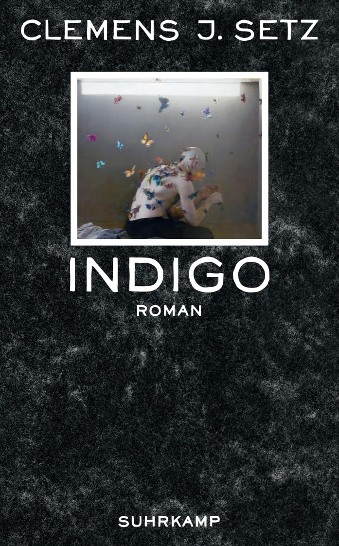 Indigo Contemporary literature Books