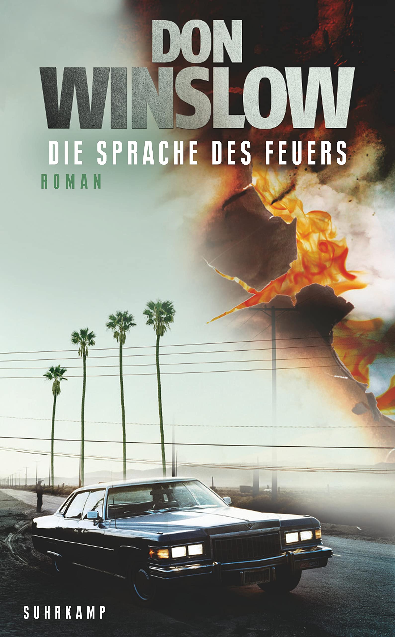 Die Sprache des Feuers Contemporary literature Books