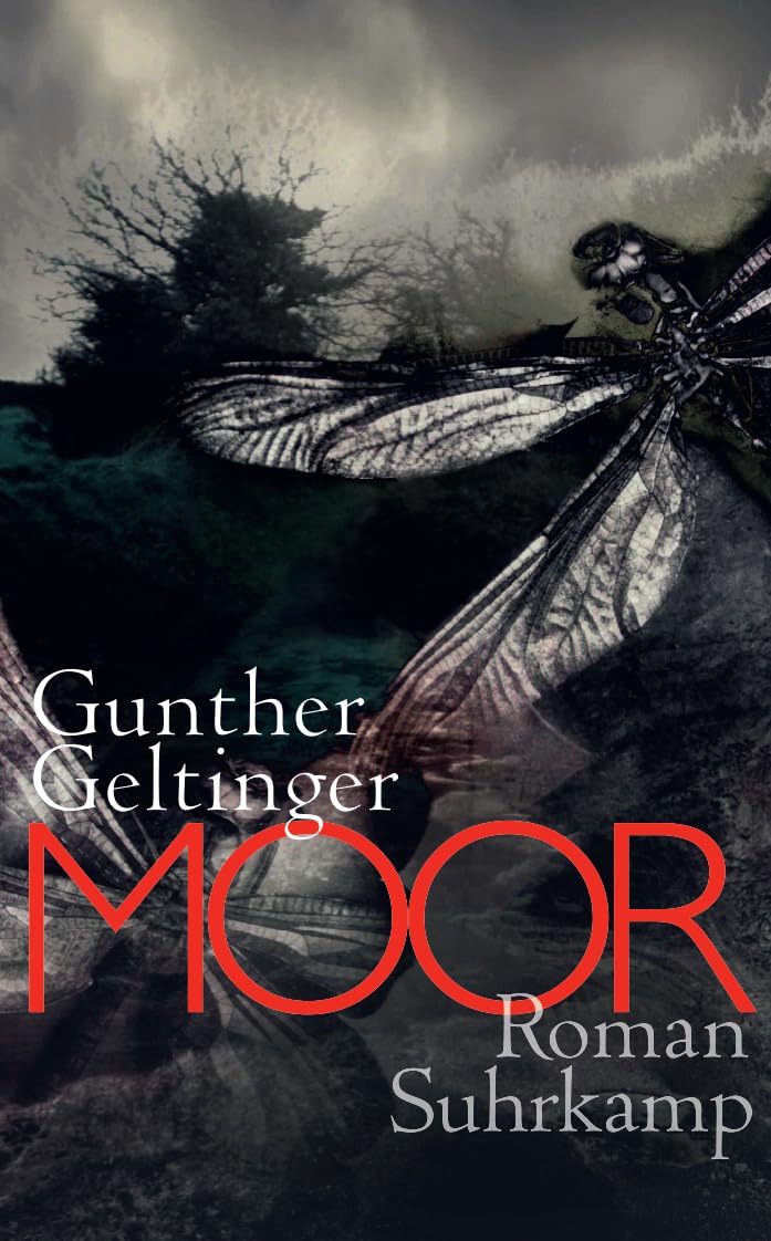 Moor Contemporary literature Books